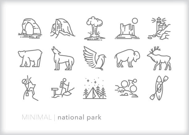 American National Parks line icon set Set of 15 National Park line icons of famous natural sites, wild animals and activities such as camping, hiking, and kayaking rock formation stock illustrations