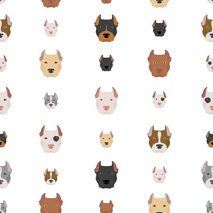 American pit bull terrier dogs set. Color varieties, different poses. Seamless pattern