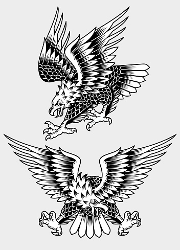 American Screaming Eagle Tattoo Vector Illustration