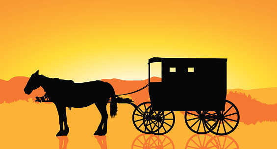 Amish carriage and horse at sunset