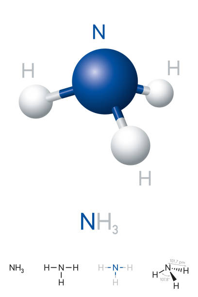 Ammonia, NH3, molecule model and chemical formula Ammonia, NH3, molecule model and chemical formula. Chemical compound of nitrogen and hydrogen. A colorless gas. Ball-and-stick model, geometric structure and structural formula. Illustration. Vector. ammonia stock illustrations
