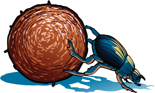 An illustration of a blue dung beetle