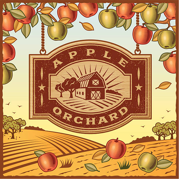 An illustration of an apple orchard sign Retro landscape with Apple Orchard sign in woodcut style. Vector illustration with clipping mask. Includes high resolution JPG. apple orchard stock illustrations