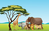 African animals in savannah