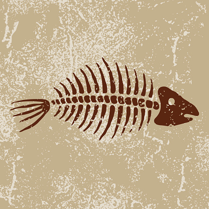 Ancient Symbols: Fish Bones
