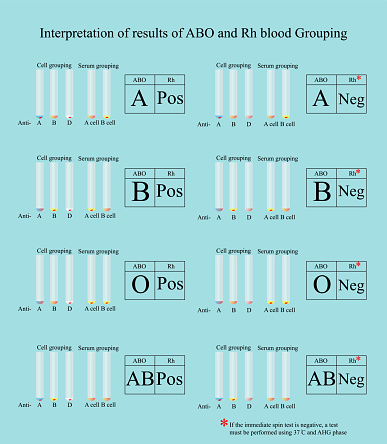 ABO and Rh Blood group tube test