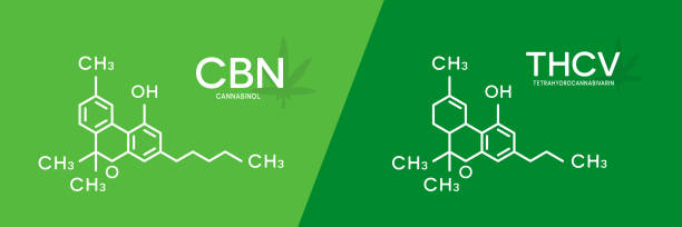 CBN and THCV formula. Cannabinol and tetrahydrocannabivarin molecule structure. tetrahydrocannabivarin stock illustrations