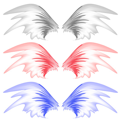 Angel or Phoenix Wings on White Background. Winged Logo Design. Part of Eagle Bird. Design Elements for Emblem, Sign, Brand Mark.