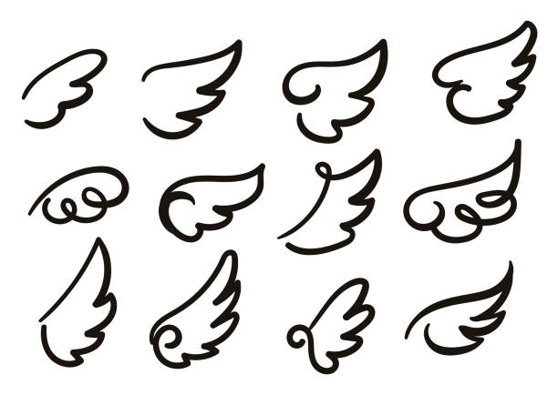 천사 날개 스케치 세트. 손으로 그린 날개 흰색 배경에 고립의 컬렉션입니다. - 동물 날개 stock illustrations