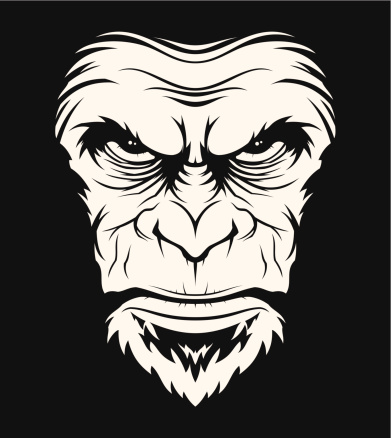 Angry ape head