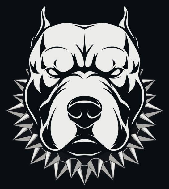Angry dog head Vector illustration Angry pitbull mascot head pit bull terrier stock illustrations