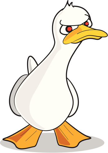 Angry Duck Cartoon