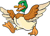 Angry duck running, mascot