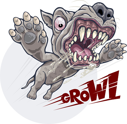 Angry growling dog attacks in jump