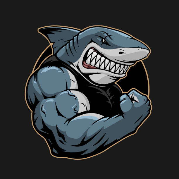 Angry Shark Stock Photos, Pictures & Royalty-Free Images - iStock