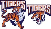 istock angry tiger mascot 855031590