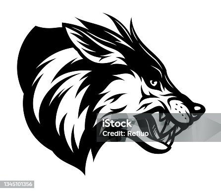 istock Angry wolf head black and white 1345101356