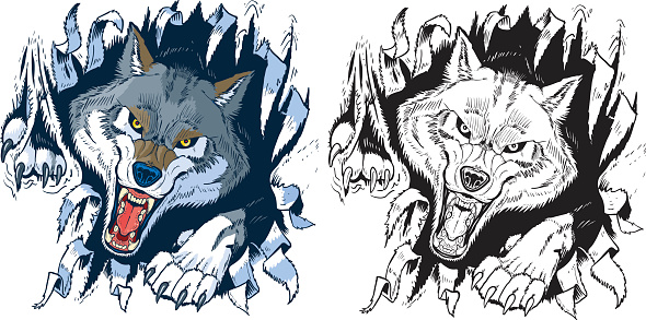 Angry Wolf Ripping out Background Vector Cartoon