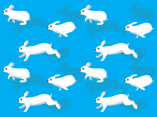bildbanksillustrationer, clip art samt tecknat material och ikoner med djur animation kanin dvärg hotot sömlös bakgrund - dwarf rabbit isolated