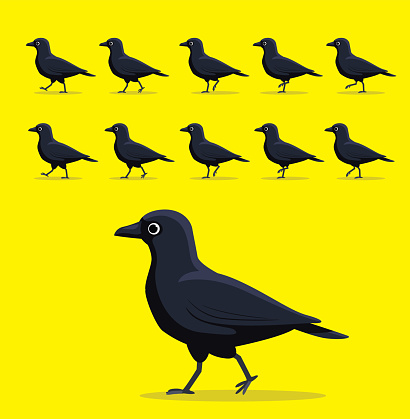 Animal Animation Sequence American Crow Walking Cartoon Vector