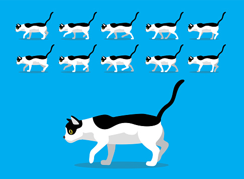 Animal Animation Sequence Cat Aegean Cartoon Vector