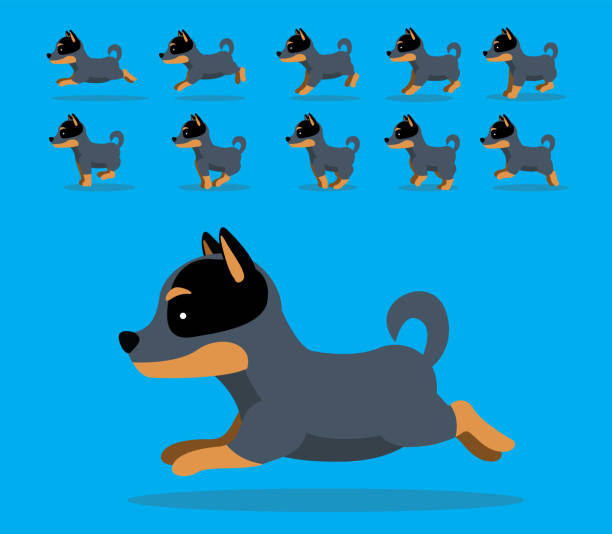 Animal Animation Sequence Cattledog Cartoon Vector Animal Animation EPS10 File Format running borders stock illustrations