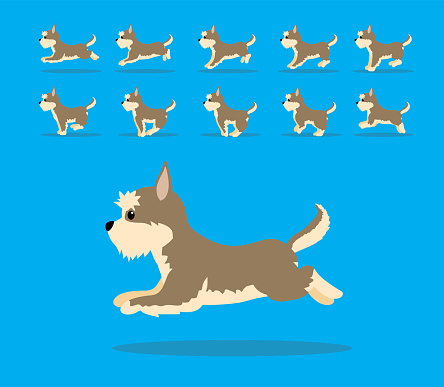 Animal Animation Sequence Dog Berger Picard Cartoon Vector