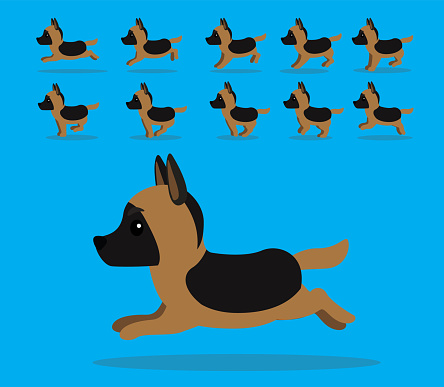 Animal Animation Sequence Dog German Shepherd Cartoon Vector