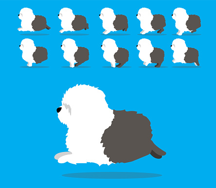 Animal Animation Sequence Dog Old English Sheepdog Cartoon Vector