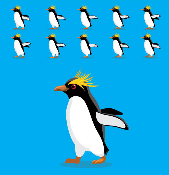 анимация животных последовательность макароны пингвин мультфильм вектор - m...