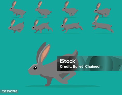 istock Animal Animation Sequence Rabbit Continental Giant Cartoon Vector 1323103798
