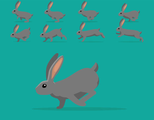 bildbanksillustrationer, clip art samt tecknat material och ikoner med djur animation sekvens kanin kontinental jätte tecknad vektor - bunny jumping