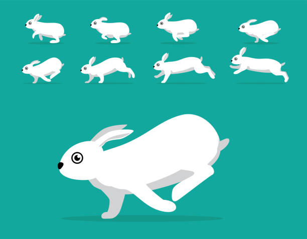 bildbanksillustrationer, clip art samt tecknat material och ikoner med animal animation sekvens kanin dvärg hotot vit cartoon vector - dwarf rabbit isolated