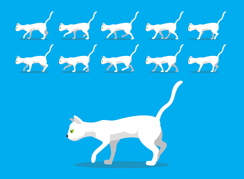 Animal Animation Sequence White Cat Sphynx Cartoon Vector