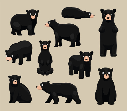 Animal Black Bear Poses Cute Cartoon Vector Illustration