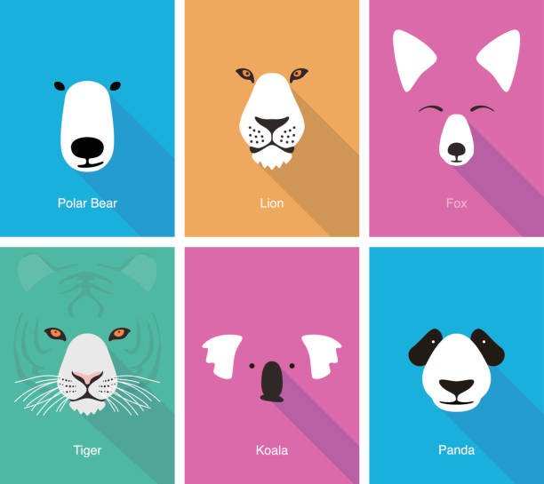 animal cartoon face, flat face icon vector  lion face stock illustrations