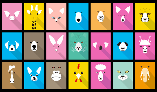 24 animal cartoon faces, cute flat portrait icon