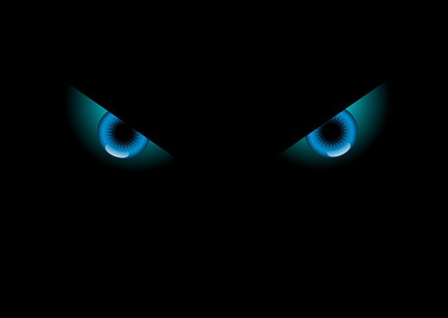 Animal eyes in dark