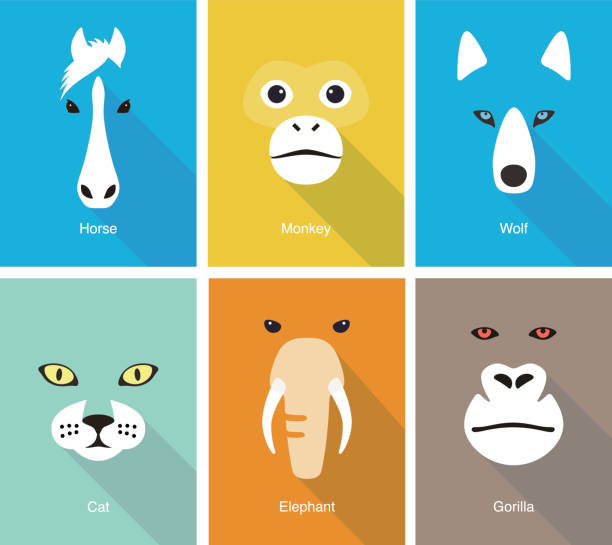 ilustrações, clipart, desenhos animados e ícones de conjunto de ícones plana de rosto animal design, ilustração vetorial - wolf portrait