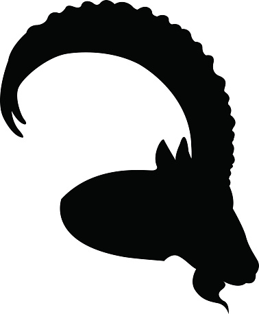 Animal head