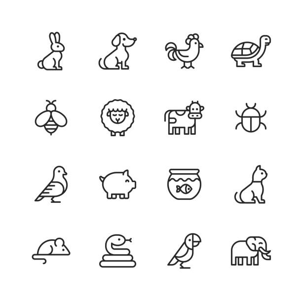 Animal Line Icons. Editable Stroke. Pixel Perfect. For Mobile and Web. Contains such icons as Rabbit, Bunny, Dog, Chicken, Turtle, Bee, Sheep, Cow, Pig, Cat, Snake, Mouse, Elephant, Parrot. 16 Animal Outline Icons. animals stock illustrations