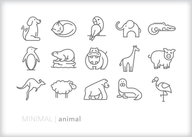 bildbanksillustrationer, clip art samt tecknat material och ikoner med djur linje ikoner av lantbruks djur, hus djur, djurparks djur, däggdjur och fåglar - aligator