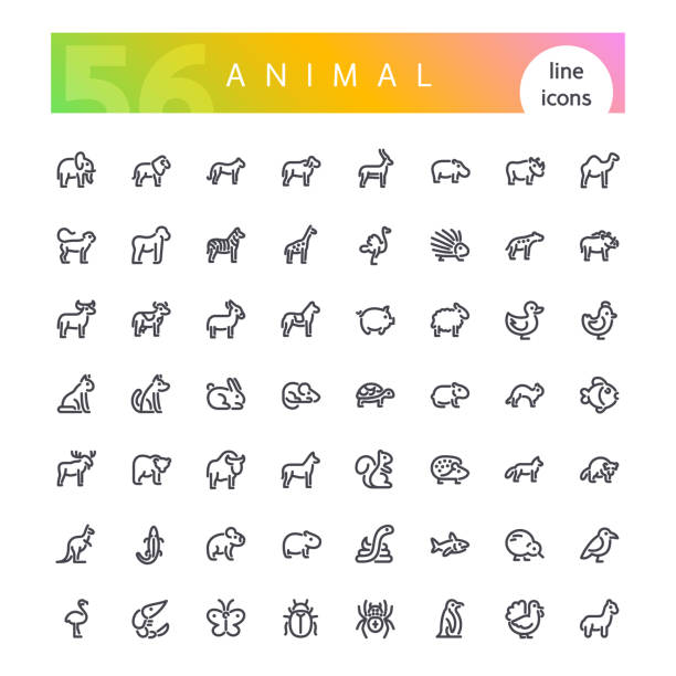 Animal Line Icons Set Set of 56 animals from africa, australia, forest, sea, mammals, birds, reptiles, fish, insects and other line icons suitable for web, infographics and apps. Isolated on white background. Clipping paths included. outlines of an ostrich stock illustrations