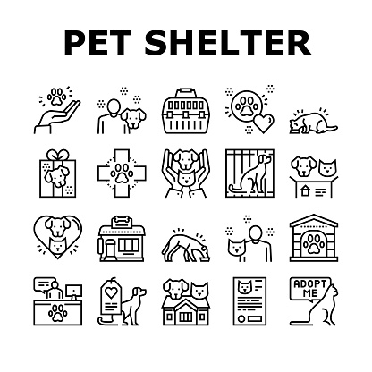 Animal Pet Shelter Collection Icons Set Vector. Pet Shelter Building And Worker, Eating Cat And Dog, Puppy Present And Medical Document Black Contour Illustrations