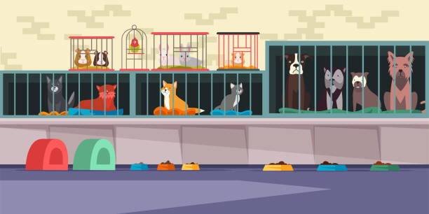 Animal shelter, pet shop flat vector illustration Animal shelter, pet shop flat vector illustration. Adoption center for stray and homeless pets. Cute cats, lonely dogs, guinea pigs, small hamster, bunnies and parrot in cages. Veterinary clinic cage stock illustrations
