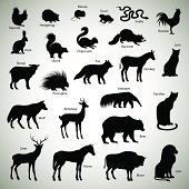 Set of animal silhouettes on abstract background