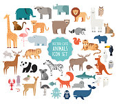 Cute Animal Vector illustration Icon Set isolated on a white background.