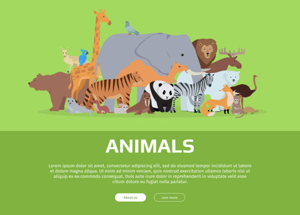 動物の旗。ウェブサイトテンプレート - 動物園点のイラスト素材／クリップアート素材／マンガ素材／アイコン素材