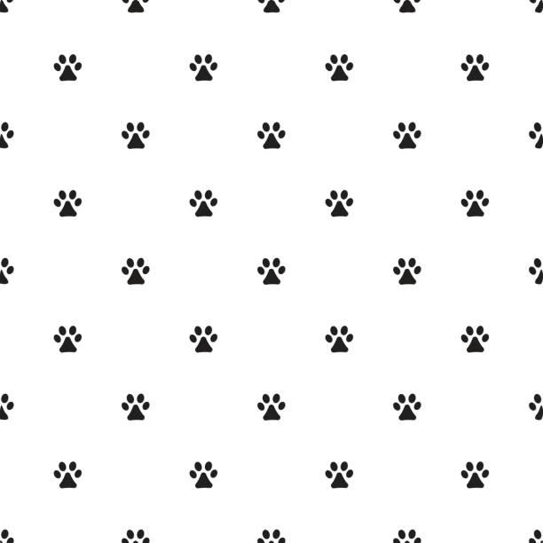 Animal's footprint pattern Seamless pattern with animal's footprint. Picture ready for use in World Wildlife Day thematic . international dog day stock illustrations