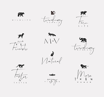 Set of animals mini floral graphic signs bear, fish, monkey, fox, pig, dograbbit, elephant, cheetah with lettering drawing on dirty background